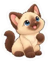 Charlotte, Katze