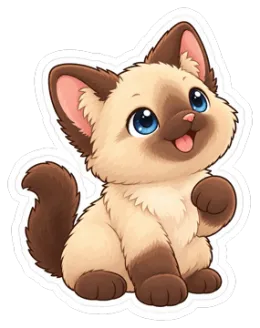 Charlotte – Katze