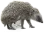 IGI
