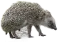 IGI