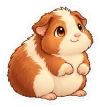 Moni, Meerschweinchen