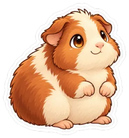 Moni – Meerschweinchen