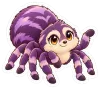 Susi, Spinne
