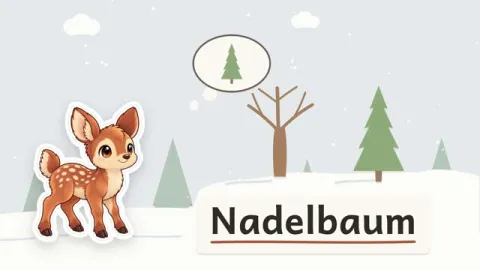Rieke erklärt: Warum bleiben viele Nadelbäume im Winter grün?