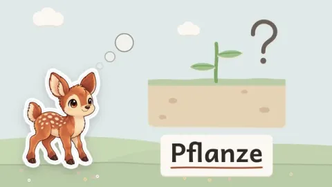 Rieke erklärt: Warum braucht eine Pflanze Wurzeln?