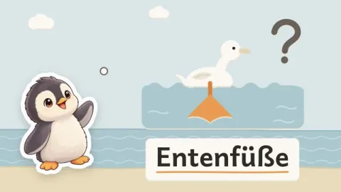 Pia erklärt: Warum haben Enten Schwimmhäute?