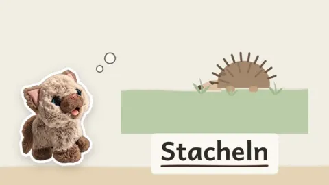 Eva erklärt: Warum hat ein Igel Stacheln?
