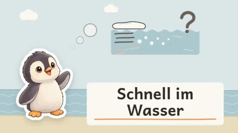 Pia erklärt: Warum können Pinguine so gut schwimmen?