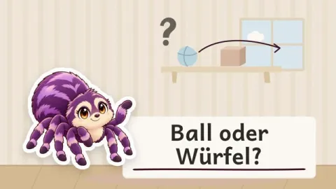 Susi erklärt: Warum rollt ein Ball leichter als ein Würfel?