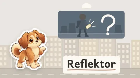 Bello erklärt: Warum sind Reflektoren im Dunkeln wichtig?