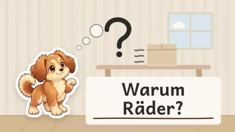 Bello erklärt: Warum tragen Fahrräder und Autos Räder?