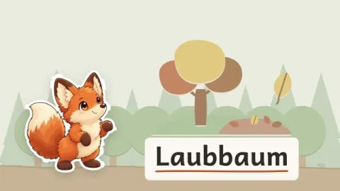 Finn erklärt: Warum verlieren Bäume im Herbst ihre Blätter?