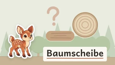 Rieke erklärt: Warum wachsen an einem Baum jedes Jahr neue Holzschichten?