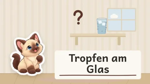 Charlotte erklärt: Warum wird ein kaltes Glas außen nass?