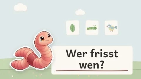 Willi erklärt: Was ist eine Nahrungskette im Garten?