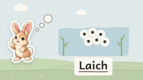 Hanni erklärt: Wie entsteht aus Kaulquappen ein Frosch?