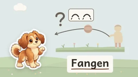 Bello erklärt: Wie fangen wir einen langsam zugeworfenen weichen Ball?