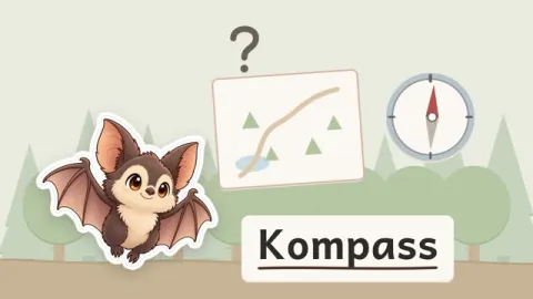 Fips erklärt: Wie findet ein Kompass Norden?