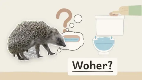 IGI erklärt: Wie funktioniert eine toilettenspülung?
