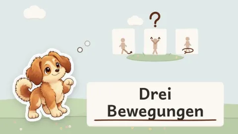 Bello erklärt: Wie verbinden wir drei Bewegungen zu einer kleinen Choreografie?
