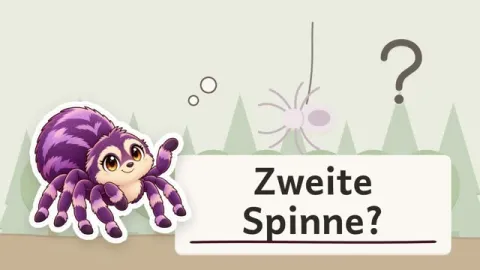 Susi erklärt: Wie wächst eine Spinne aus ihrer alten Hülle heraus?
