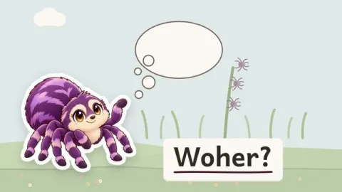 Susi erklärt: Woher kommen kleine Spinnen?
