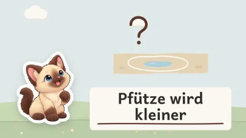 Charlotte erklärt: Wohin verschwindet eine Pfütze ohne Abfluss?